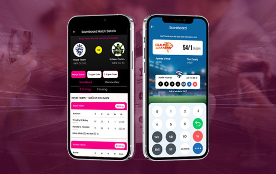 web application development india case study