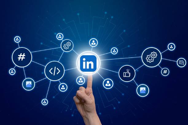 Key SEO Components Include