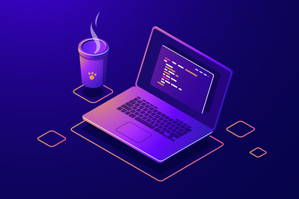custom development