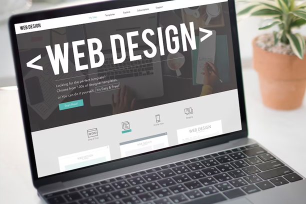 custom-website