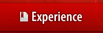 Experience